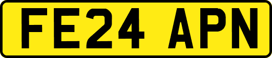 FE24APN