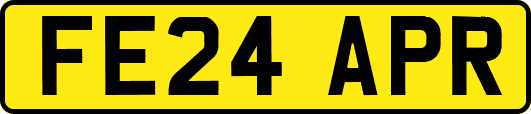 FE24APR