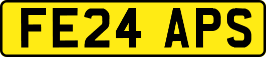 FE24APS