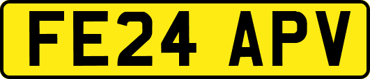 FE24APV
