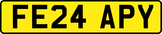 FE24APY