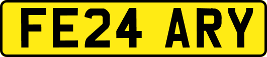 FE24ARY