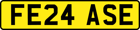 FE24ASE