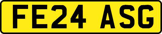 FE24ASG