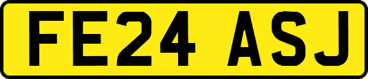 FE24ASJ