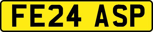 FE24ASP