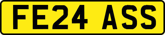 FE24ASS