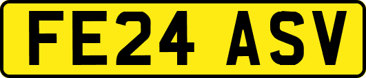 FE24ASV