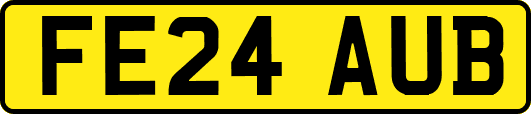 FE24AUB