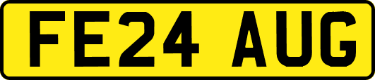 FE24AUG