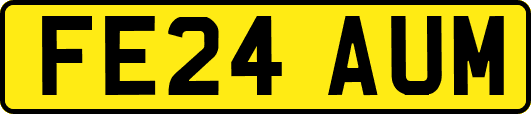FE24AUM