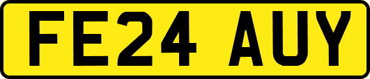 FE24AUY