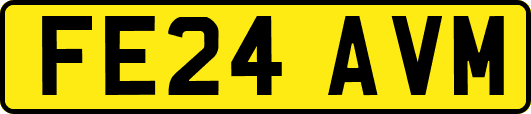 FE24AVM