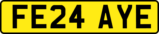 FE24AYE