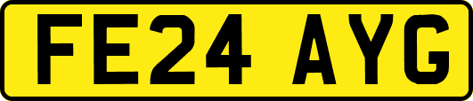 FE24AYG