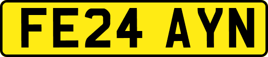 FE24AYN