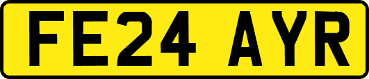 FE24AYR