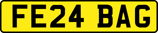 FE24BAG