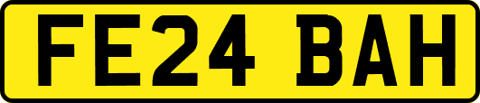 FE24BAH