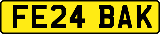 FE24BAK