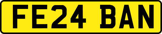 FE24BAN