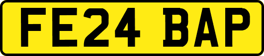 FE24BAP