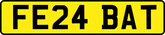 FE24BAT