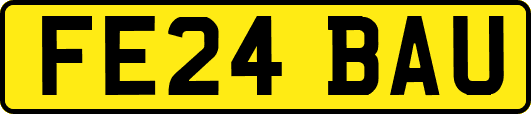 FE24BAU