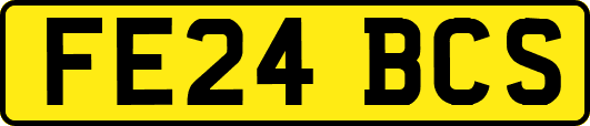 FE24BCS