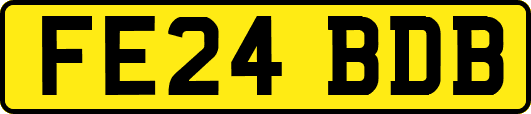 FE24BDB