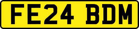 FE24BDM