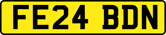FE24BDN