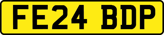 FE24BDP