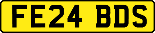 FE24BDS
