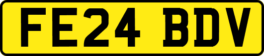 FE24BDV