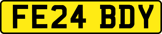 FE24BDY