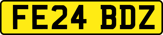 FE24BDZ