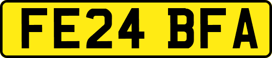 FE24BFA