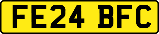 FE24BFC