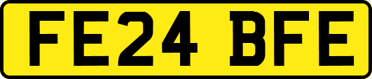 FE24BFE