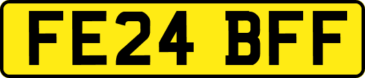 FE24BFF