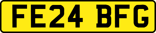 FE24BFG