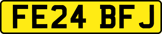 FE24BFJ