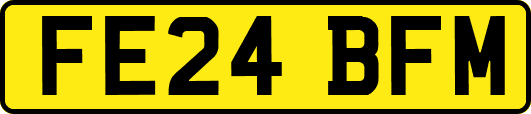 FE24BFM