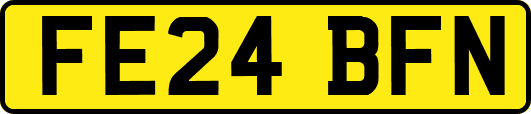 FE24BFN
