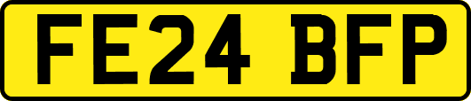 FE24BFP