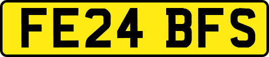 FE24BFS