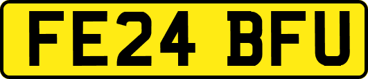 FE24BFU