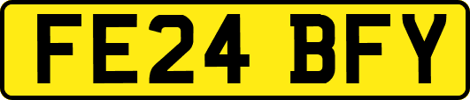 FE24BFY