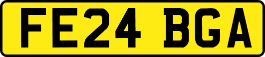 FE24BGA
